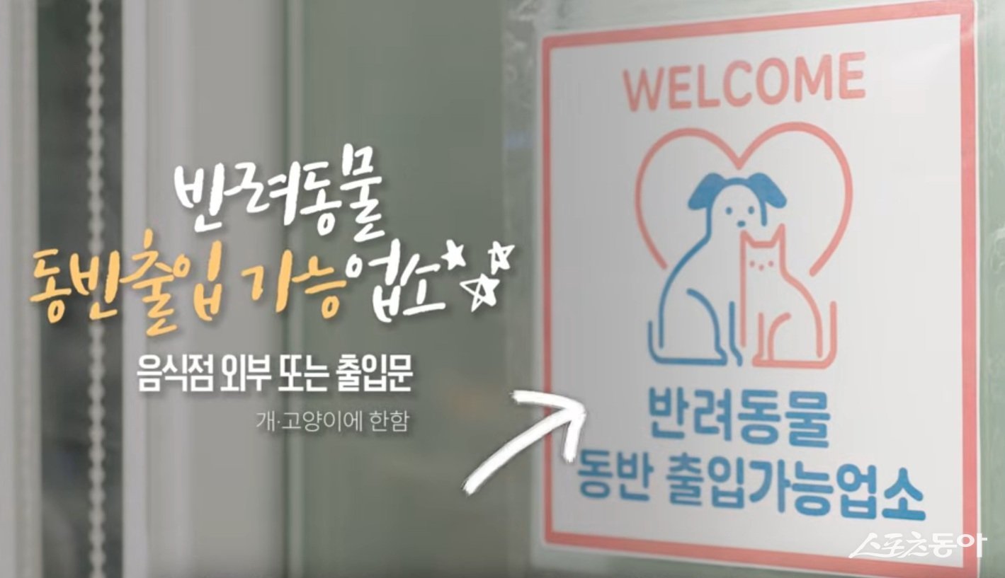 반려동물 동반음식점 홍보영상 화면 캡처. 사진제공 I 식약처