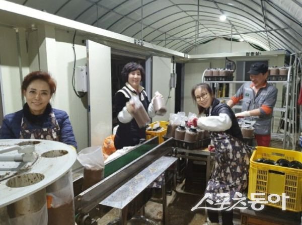 다문화가수 헤라가 동료들과 함께 봄철 농사 준비에 본격적으로 돌입했다. 사진제공 ㅣ 헤라엔터테인먼트