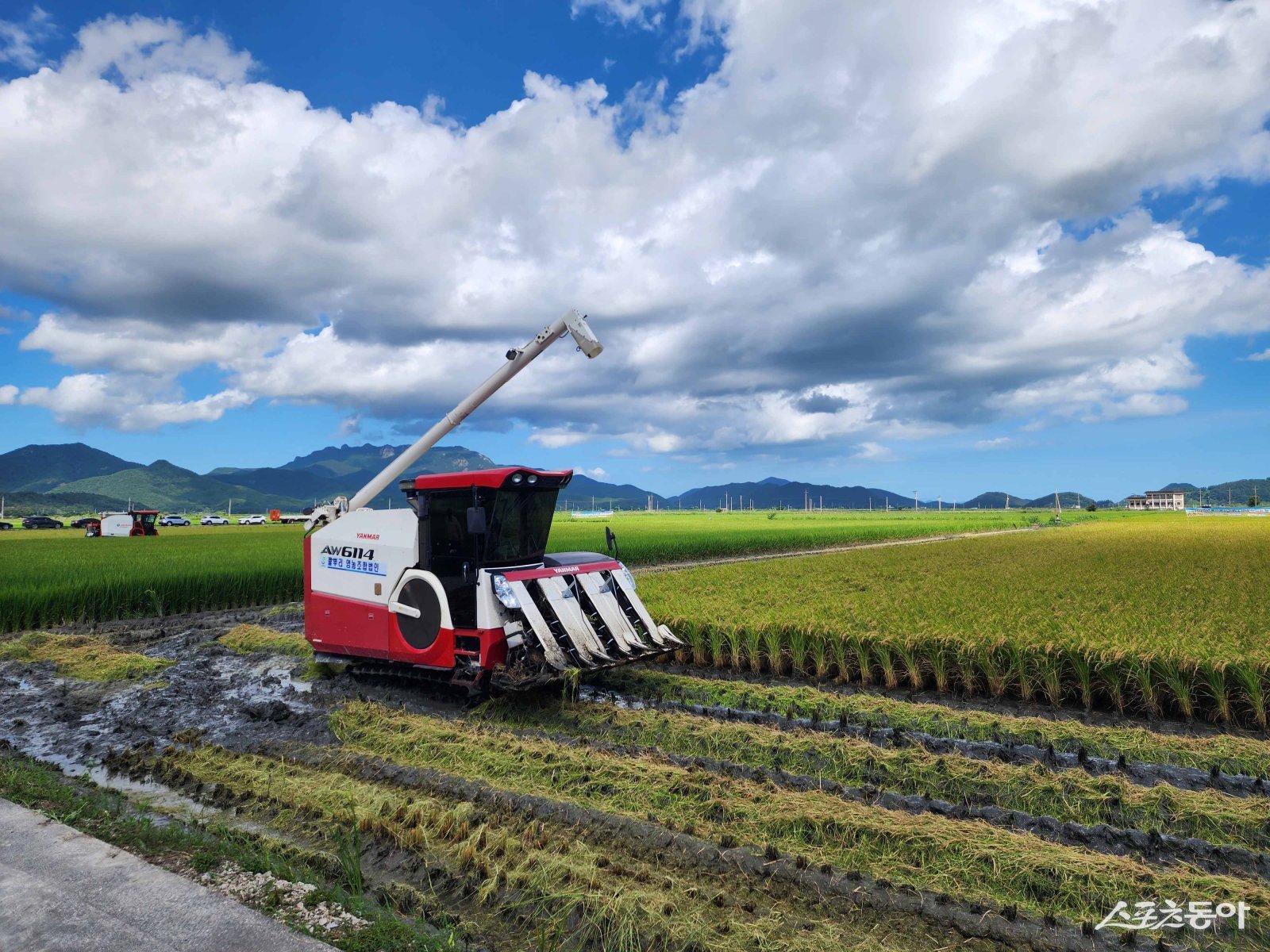 벼 수확 모습. 사진제공 I 전남도