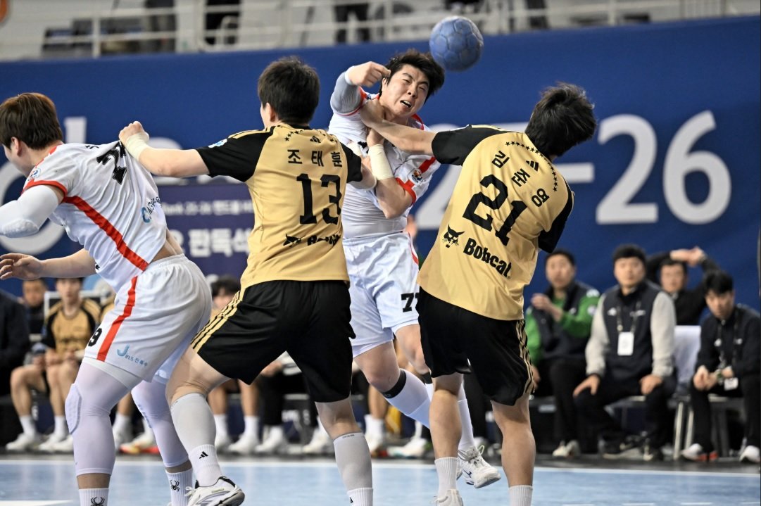 [SD 현장 라이브] 내년 스포츠토토 편입 도전하는 핸드볼, “연 기대 수익 70~80억 바탕으로 인프라 개선-국제 경쟁력 강화 꾀한다”