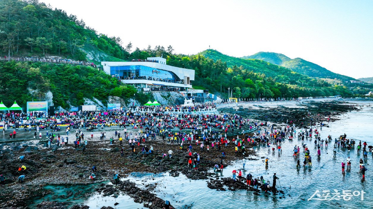 진도군이 ‘2026년 단체관광객 유치 인센티브 지원사업’을 시행한다. 사진제공｜진도군