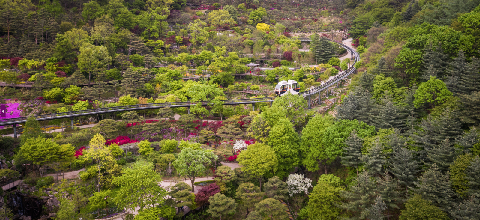 봄을 맞아 개원하는 화담숲은 수선화, 히어리, 개나리 등의 봄꽃으로 가득해 상춘객들의 명소로 손꼽힌다