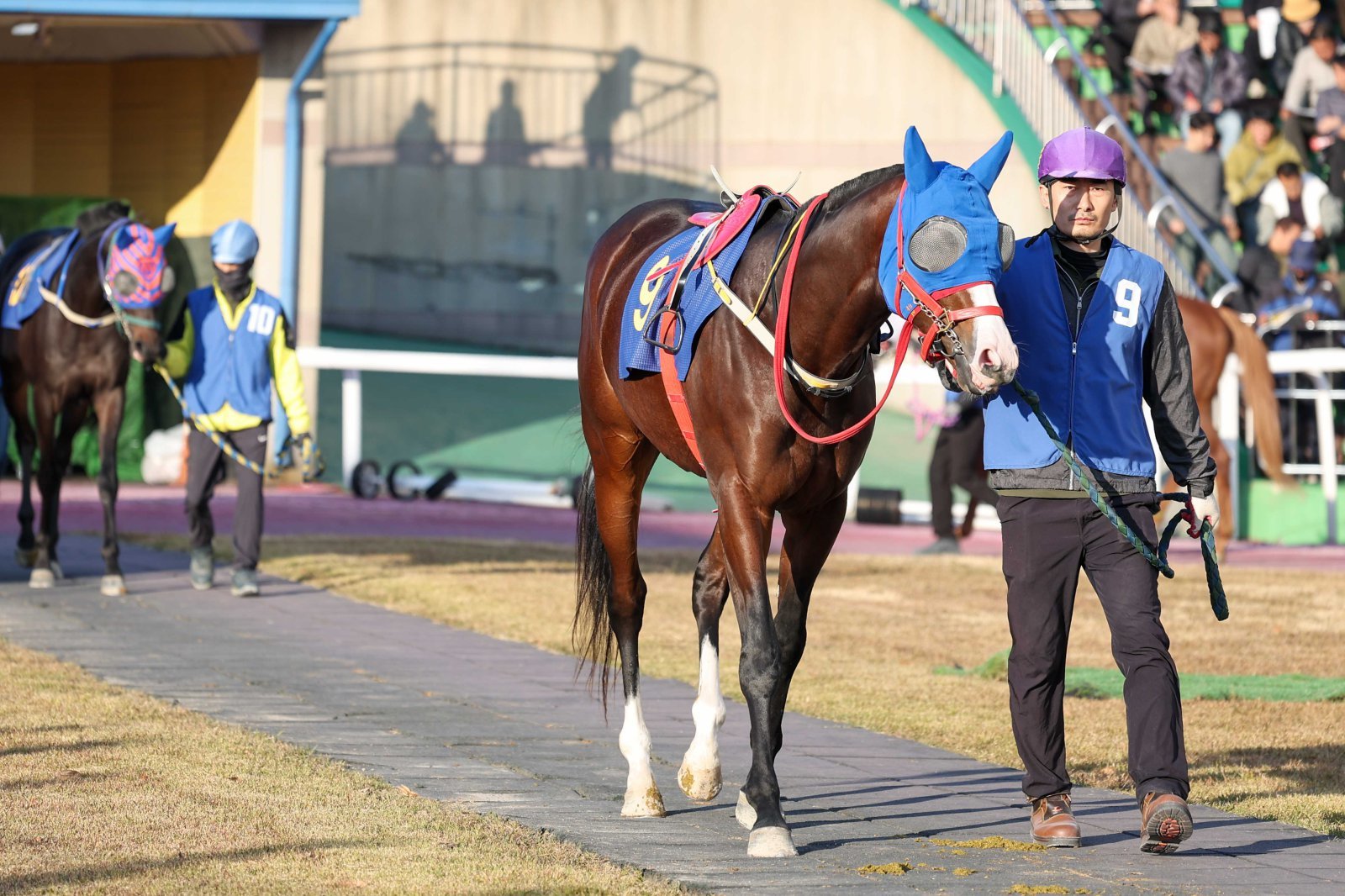 트리플 크라운 시리즈에 앞서 3세 경주마들의 전력을 가늠해볼 수 있는 ‘제39회 스포츠서울배’가 3월 1일 렛츠런파크 서울에서 열린다. 우승을 노리는 마이엠파이어.