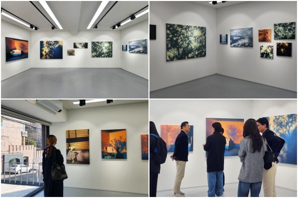 사진제공|갤러리 크레인