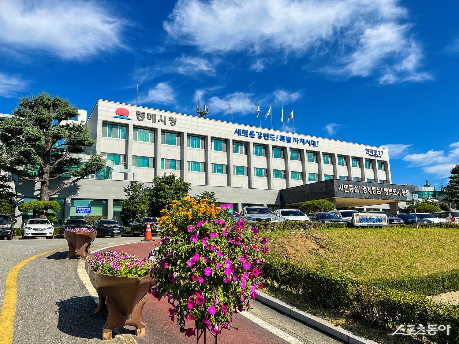 동해시 시청 청사. 동해시 제공