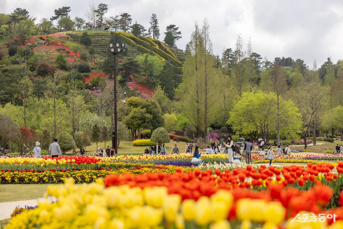 스페이스허브에서 봄을 만끽하는 사람들1(2025년). 사진제공│순천시