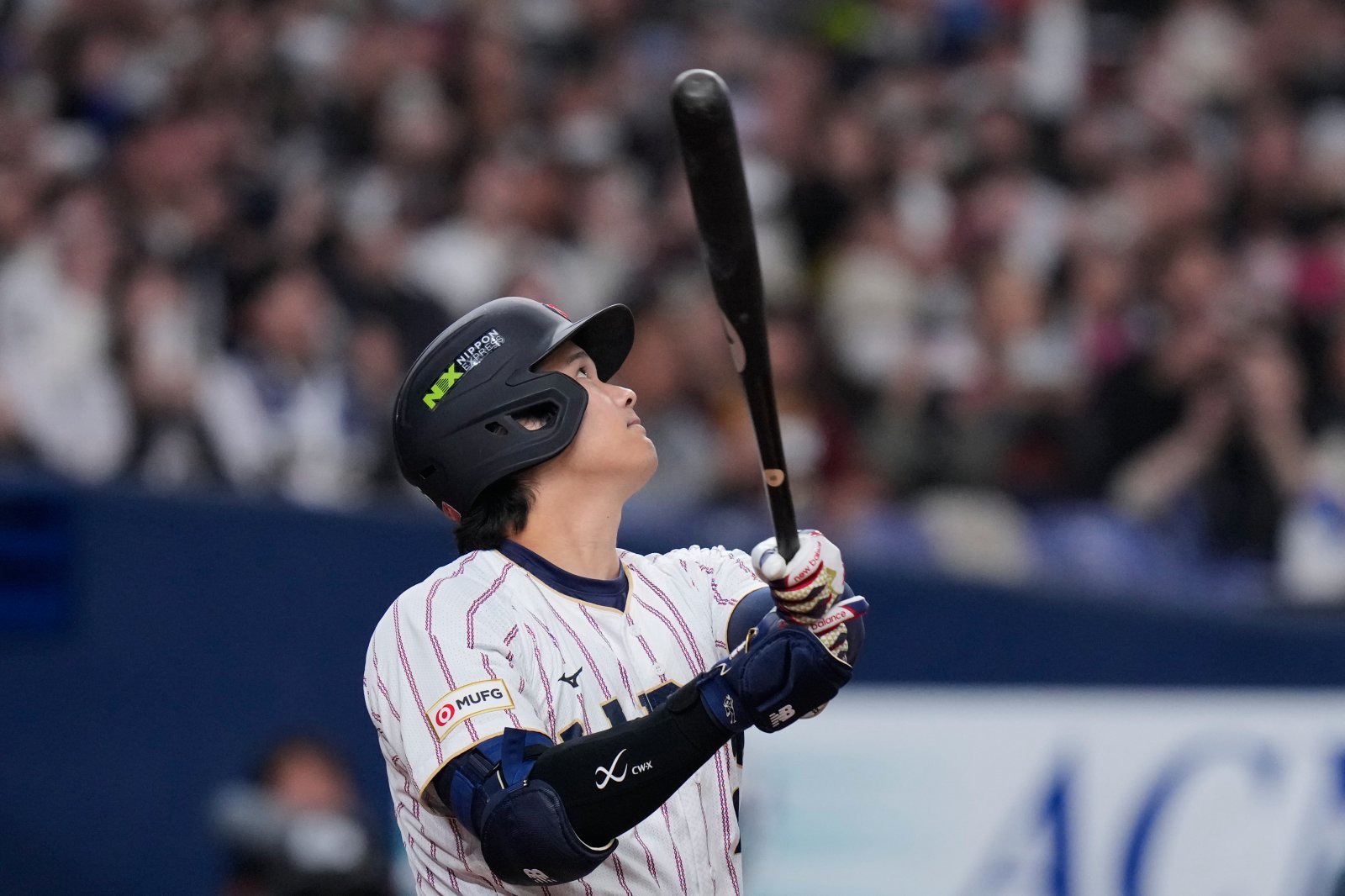 일본 대표팀 오타니 쇼헤이가 2일 오사카 교세라돔서 열린 일본프로야구(NPB) 오릭스 버펄로스전에서 삼진 당한 뒤 아쉬워하고 있다. 오사카|AP뉴시스