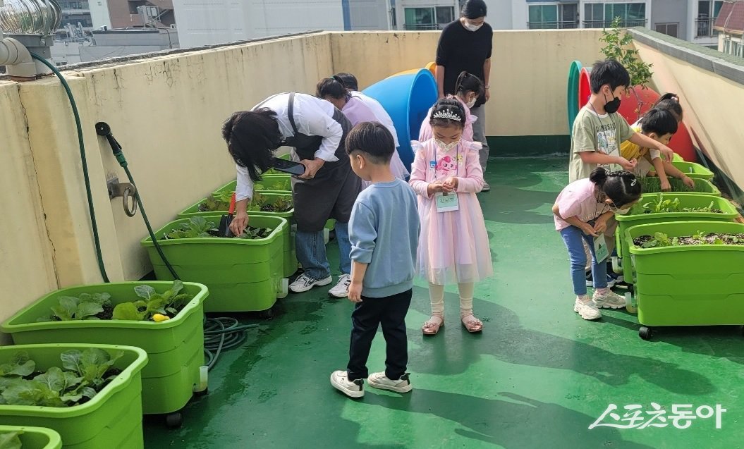 금천구 제공