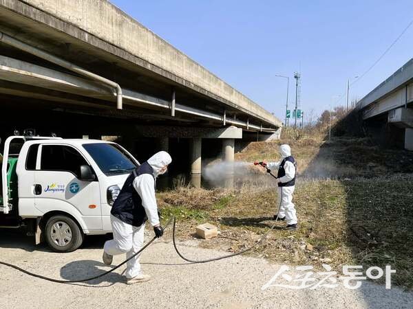 장성군 해빙기 위생해충 방역 활동 모습. 사진제공 I 장성군