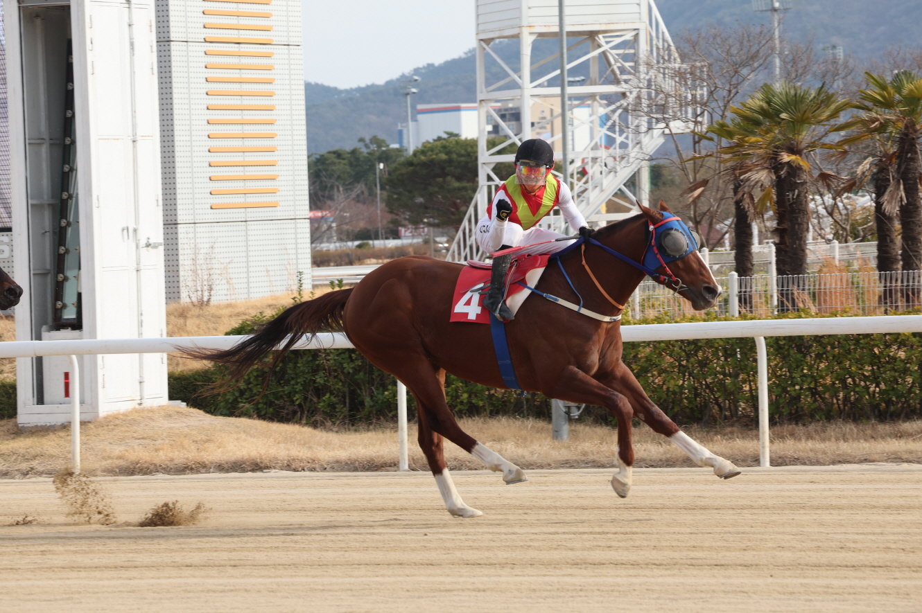 제20회 부산일보배에서 우승한 빈체로카발로와 조재로 기수.