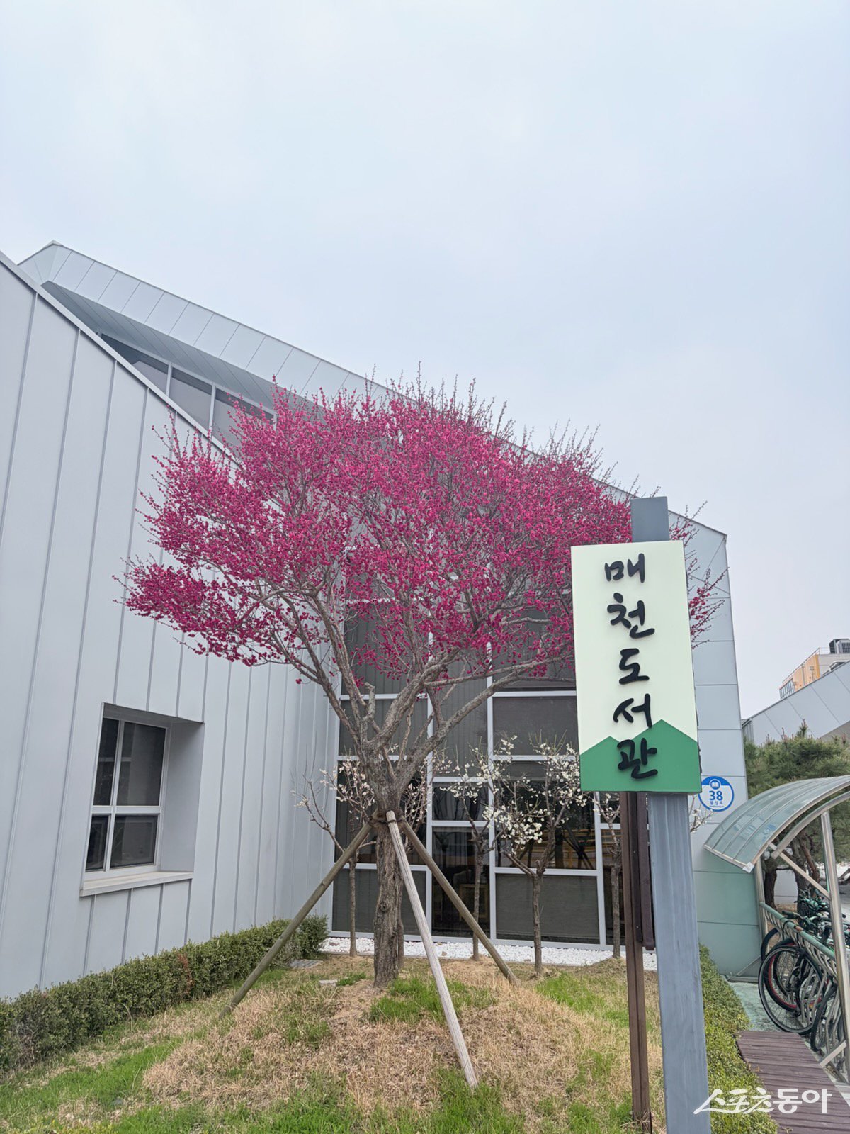 구례매천도서관 전경. 사진제공|구례군