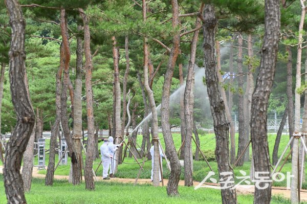 청송군이 ‘산소카페 청송군’ 브랜드를 기반으로 기후변화 대응과 주민 삶의 질 향상, 숲의 미래 가치 확보를 위한 2026년 산림정책 방향을 제시했다. 사진제공 ㅣ 청송군