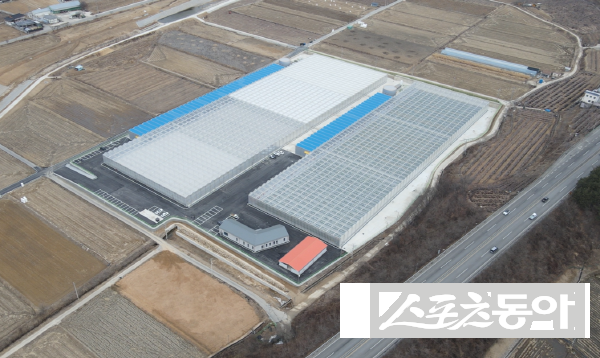 봉화군이 청년농 육성과 지역 농업 경쟁력 강화를 위해 추진하는 임대형 스마트팜단지. 사진제공 ㅣ 봉화군