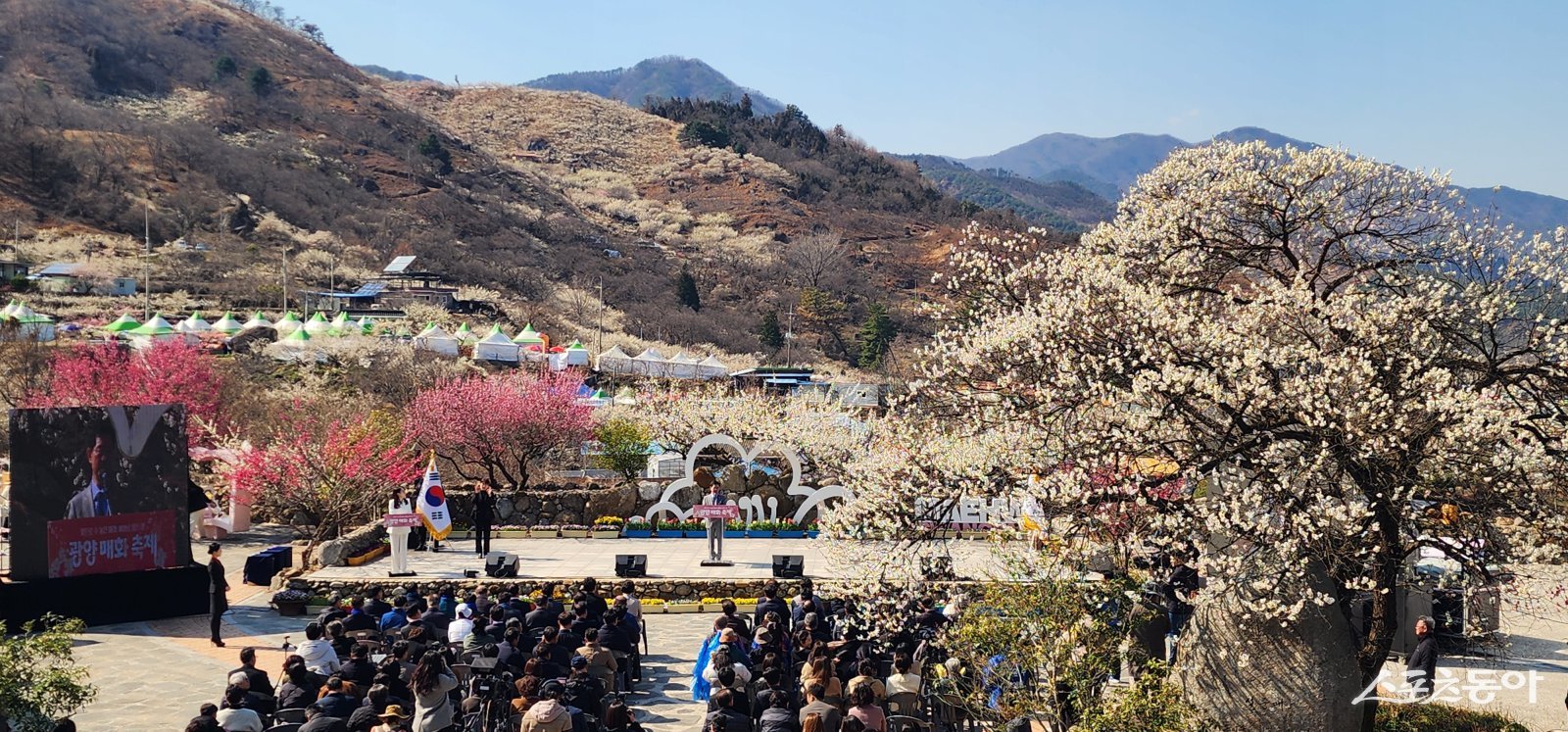 광양시 제25회 광양매화축제의 화려한 막을 올리며 열흘간의 대장정에  돌입한다. 사진제공｜광양시
