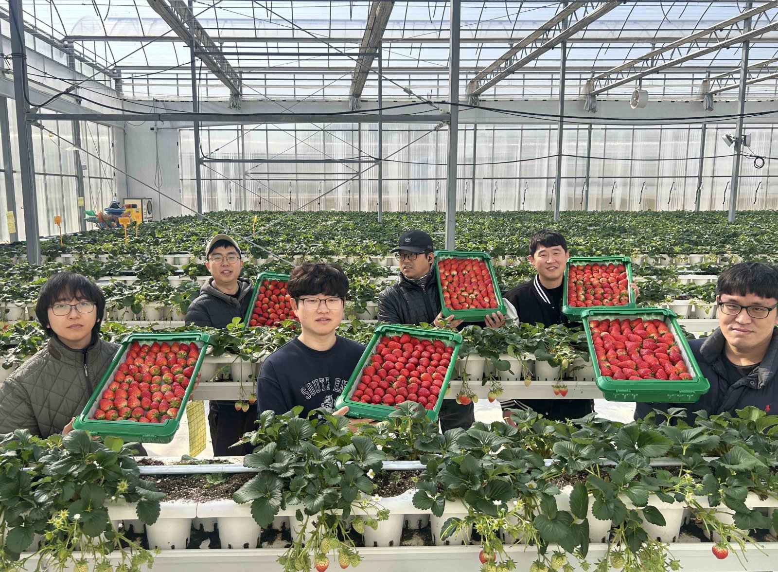  경북 의성 ‘진한딸기 공선회’ 청년 농부들. 사진제공｜쿠팡
