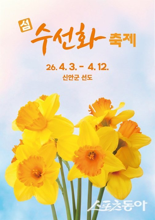 신안군 지도읍 선도리에서 4월 3일부터 12일까지 10일간 ‘2026 섬 수선화 축제’가 열린다. 사진제공 I 신안군