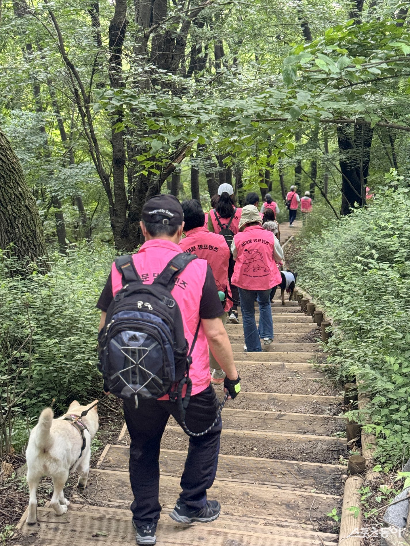서대문구 제공