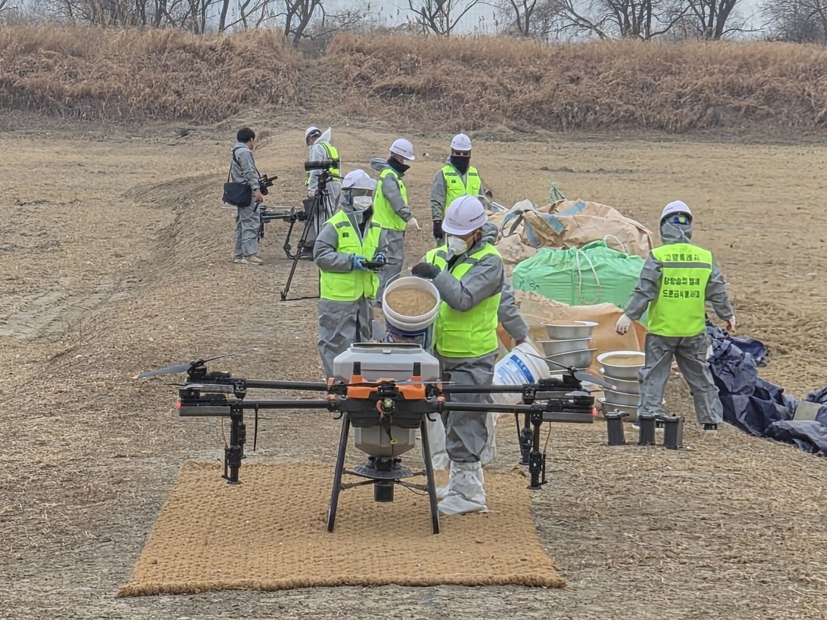 고양시가 람사르 장항습지를 찾는 겨울 철새들의 안전한 월동을 위해 드론을 활용한 ‘스마트 먹이 공급’ 을 하고 있는 모습. 사진제공 ㅣ 고양시