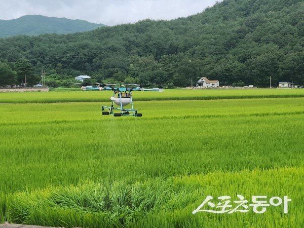 울진군이 ‘초경량비행장치 조종자(1종) 자격취득 교육비 지원사업’을 추진한다. 사진제공 ㅣ 울진군