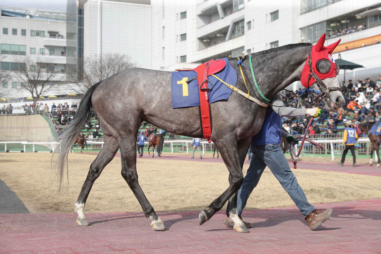 퀸즈투어, 봄의 여왕으로 가는 첫 여정! 제29회 동아일보배(L) 22일 열린다