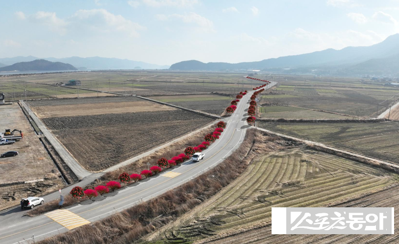 강진 신규 가로수길 조성 조감도