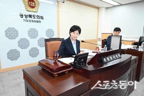 이선희 경상북도의원이 도의원직을 사퇴하고 청도군수 선거에 돌입했다. 사진제공 ㅣ 이선희사무소