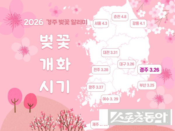 경주시가  문화관광 누리집을 통해 실시간 ‘벚꽃알리미’ 서비스를 운영한다. 사진제공 ㅣ 경주시