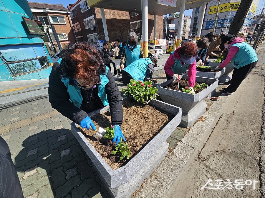 인천 미추홀구, 봄철을 맞아 주민 참여를 기반으로 ‘도시녹화 사업’을 추진하며 도심 녹지 확충에 나섰다. 사진제공｜인천 미추홀구청