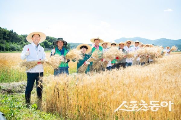 김장호(맨 왼쪽) 구미시장과 소상공인 등이 우리밀을 수확한 뒤 기념촬영을 하고 있는 모습. 사진제공ㅣ구미시