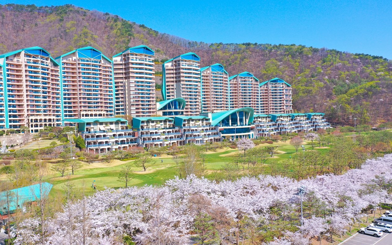 소노펠리체 비발디파크 전경