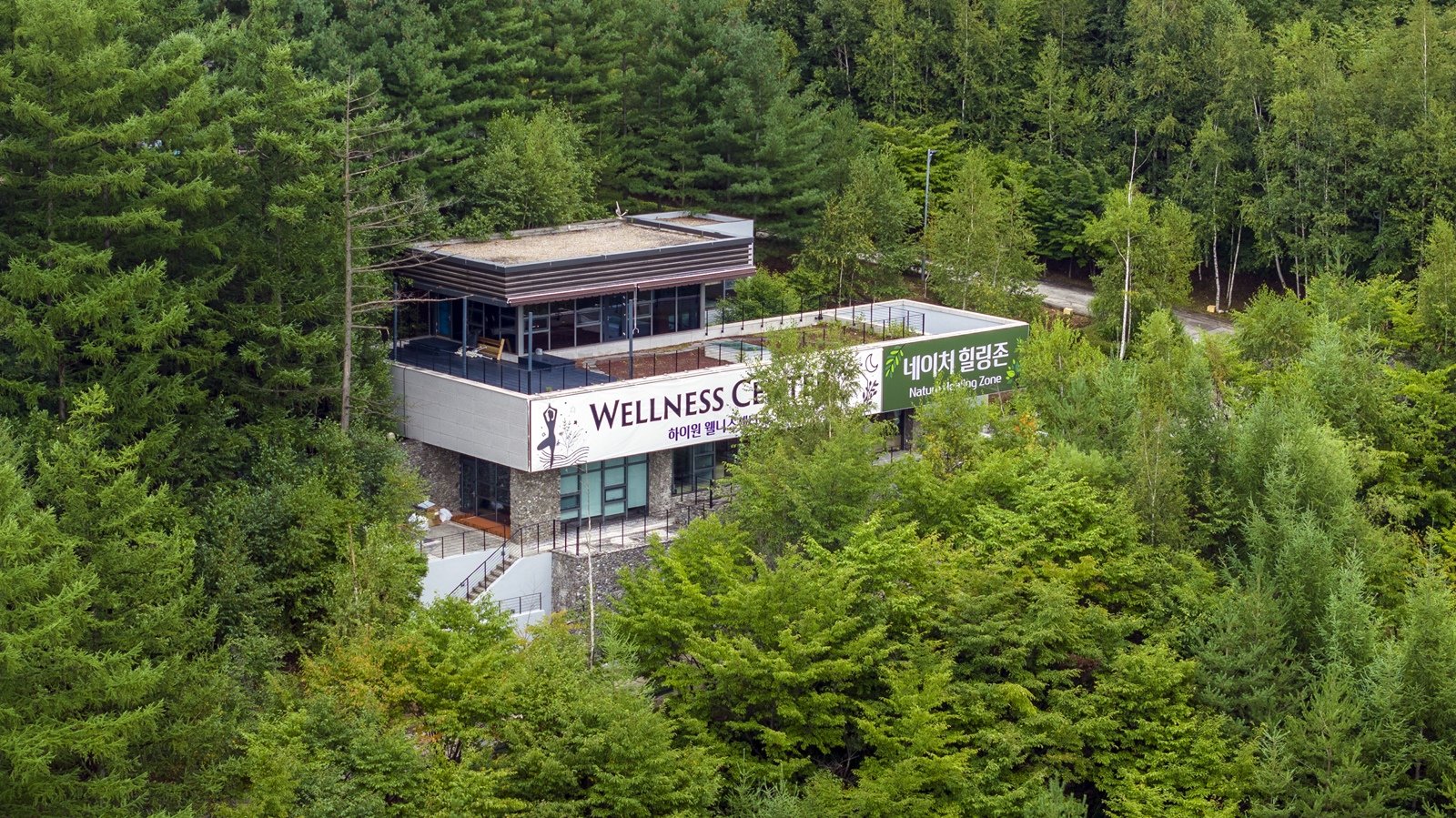 하이원리조트 웰니스센터 네이처힐링존