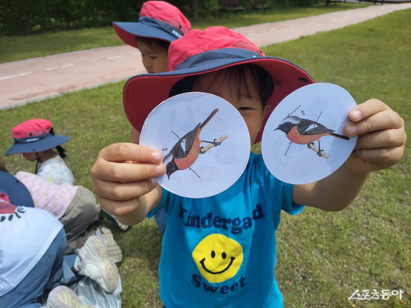 우수웰니스관광지 88선 지정 숲체험 . 사진제공=보성군