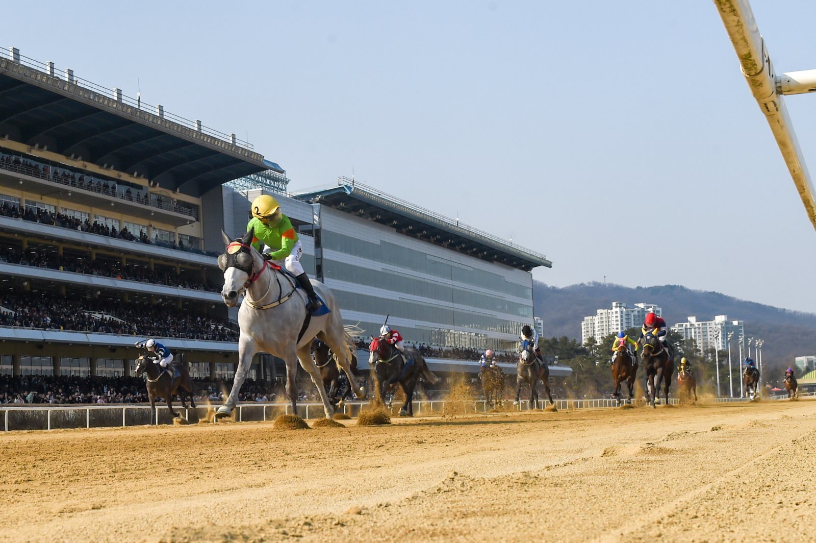 라온포레스트, 베테랑의 저력으로 제29회 동아일보배(L) 정상에 서다