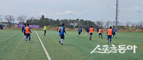 신안군은 오는 27일부터 28일까지 신안공설운동장과 보조경기장에서 ‘제4회 신안군 체육회장기 생활체육대회’를 개최한다. 사진제공 I 신안군