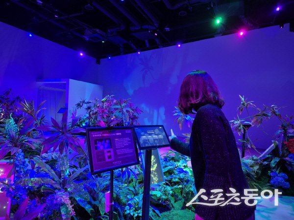 빛으로 되살린 신라 디지털 공원 ‘라원’. 사진제공 ㅣ 경주시