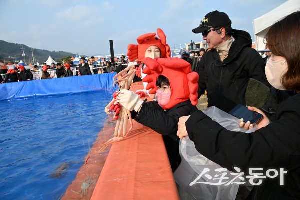 제29회 영덕대게축제가 8만여 명의 관광객들이 방문해 성황리에 막을 내렸다. 사진제공 ㅣ 영덕군