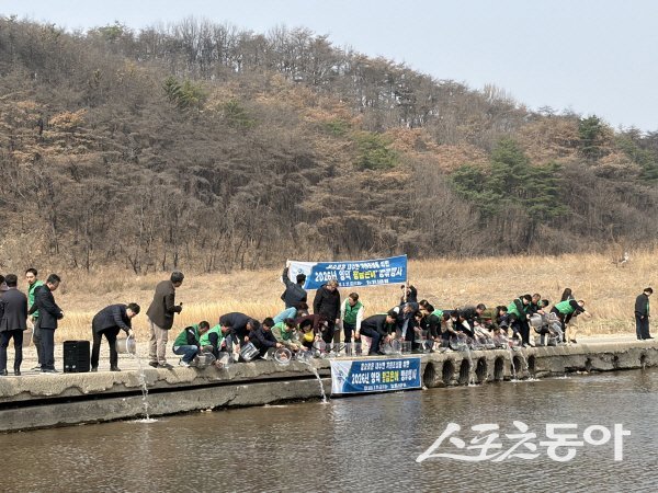 영덕군이 오십천을 비롯한 주요 하천에 어린 황금은어 40만 마리를 방류했다. 사진제공 ㅣ 영덕군