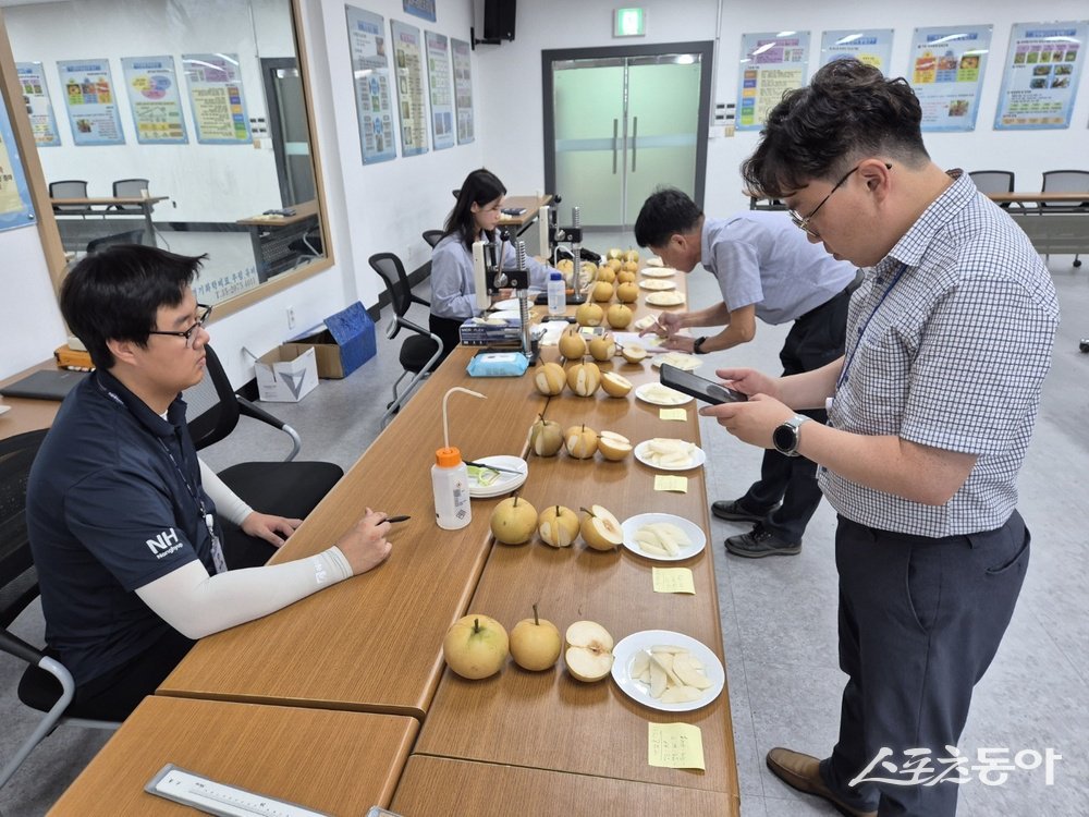 나주시는 2026년도 나주시농업인대학 ‘청년배전문반’ 교육생을 지난 24일부터 모집 중이라고 밝혔다. 사진제공 I 나주시