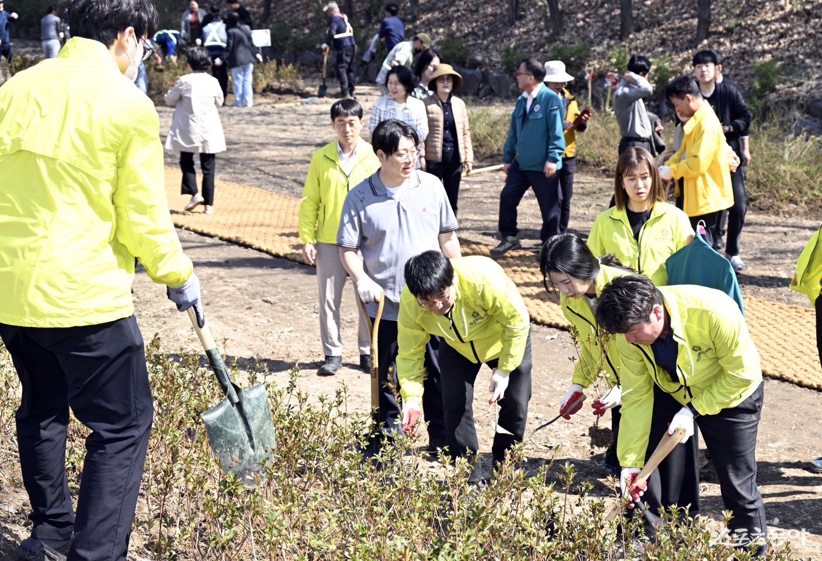 김영균 의장과 시의원 의회공무원 등 2일 장암동 368-2 수락리버시티 2단지 방면 실외정원에서 나물ㄹ 심고있다. 사진제공ㅣ의정부시의회 