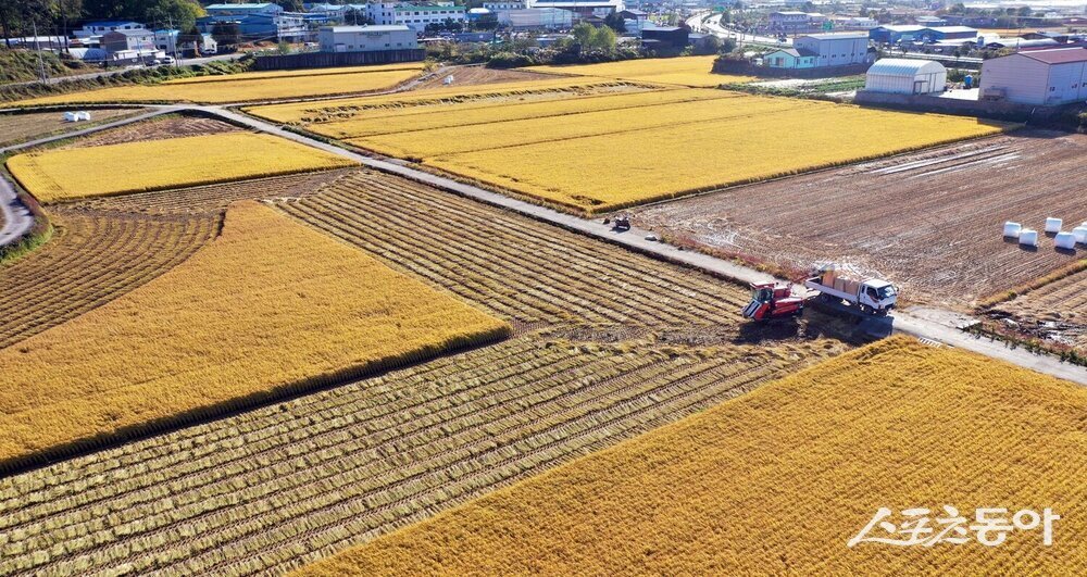 나주시가 농업인의 소득 공백 해소와 안정적인 영농 기반 구축을 위해 농업인 월급제 신청·접수를 시작하며 농가 경영 안정 지원에 나섰다. 사진제공 I 나주시
