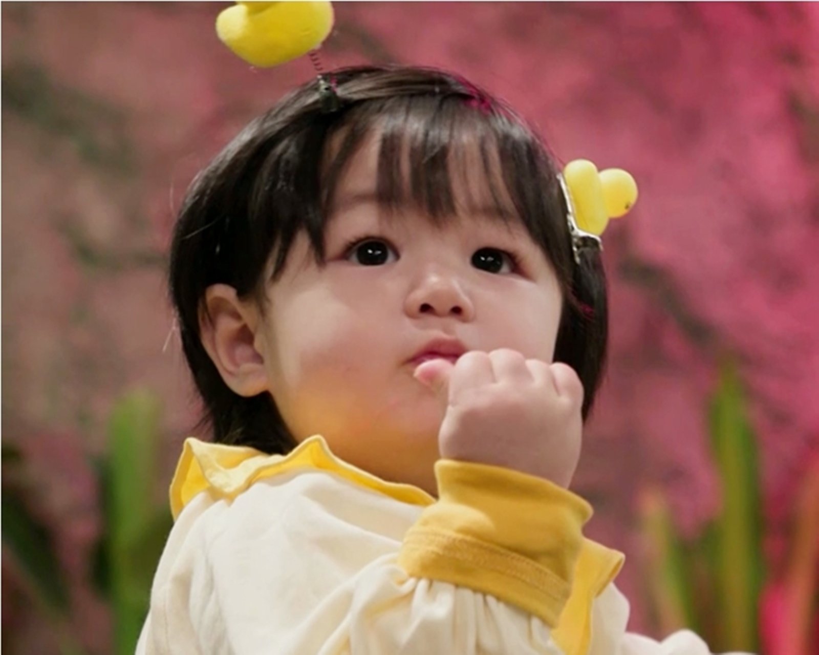 심형탁 子 하루, 동물원서 말문 터졌다…한층 성장한 또렷 발음 (슈돌)
