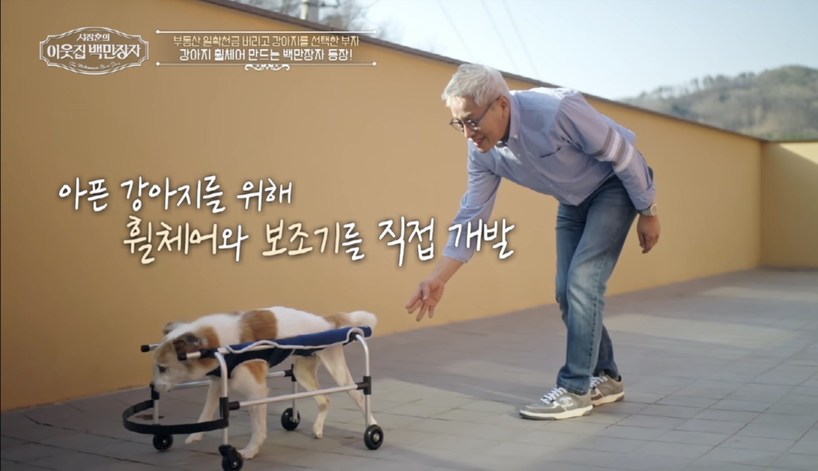 월 400억 버렸다…강아지 택한 ‘백만장자’의 선택