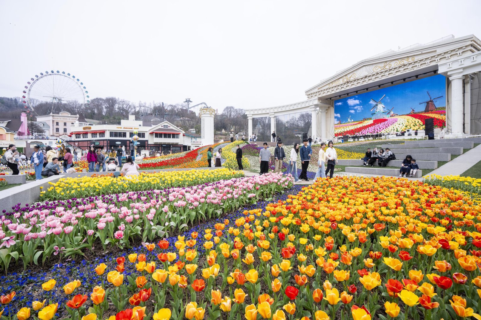 튤립축제가 절정을 이루고 있는 에버랜드 포시즌스 가든. 올해는 꽃으로만 제대로 승부하겠다는 의지가 엿보인다. 사진제공 |에버랜드