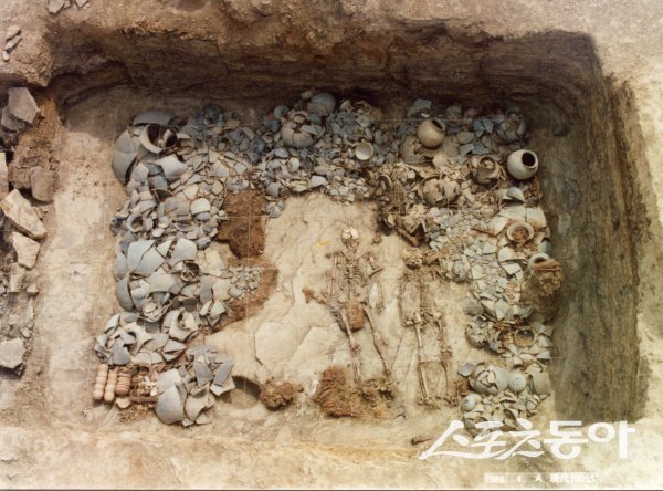 경산 조영동 고분군 사람뼈 발굴 당시 모습. 사진제공 ㅣ경산시