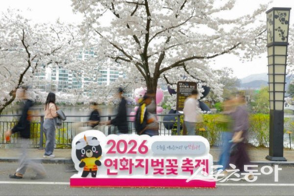 김천시  ‘2026 연화지 벚꽃축제’가 30만 명의 관람객을 끌어모으며 성황리에 막을 내렸다. 사진제공 ㅣ 김천시