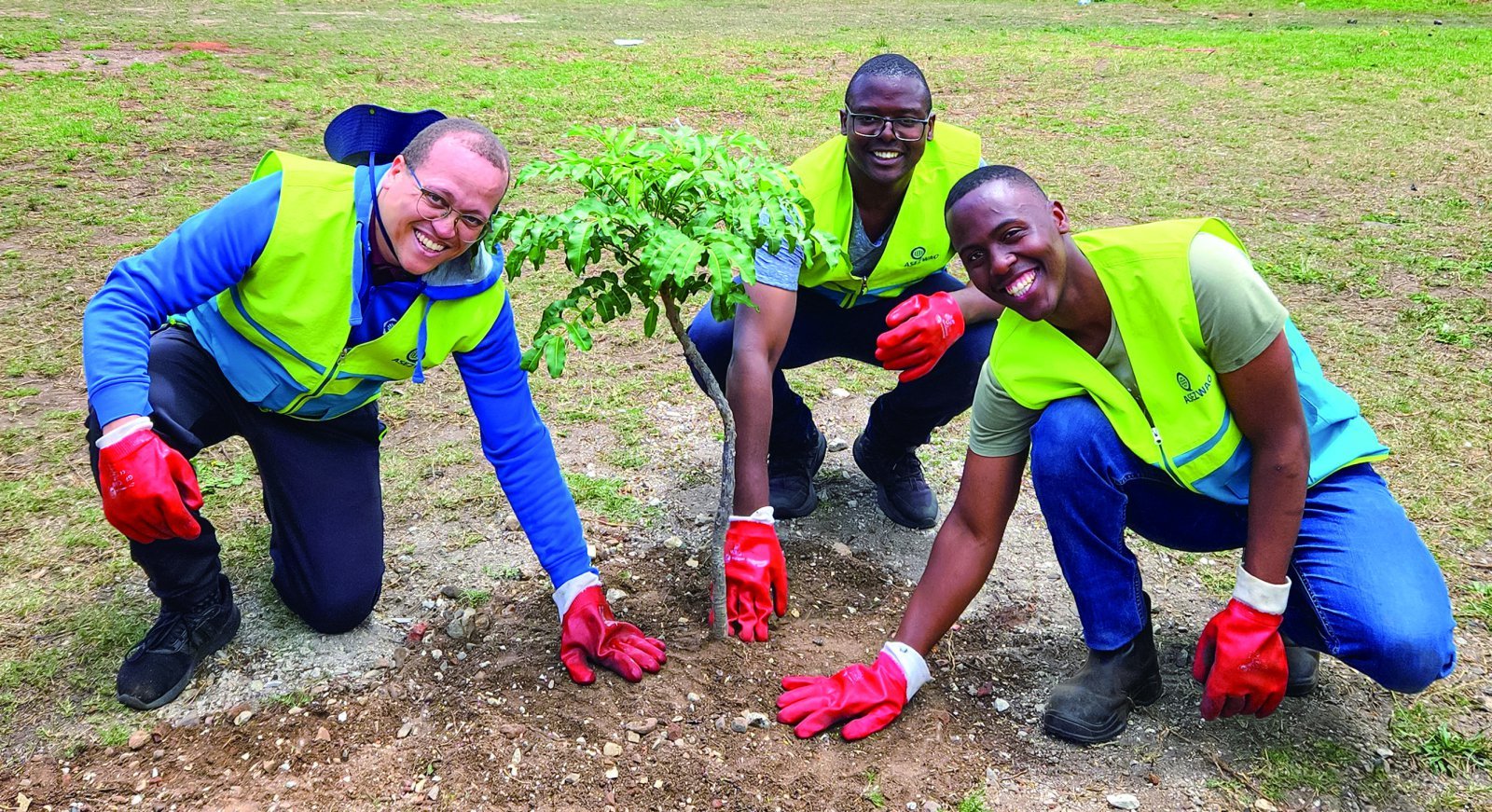 남아프리카공화국 포트엘리자베스에서 진행된 나무 심기 활동
