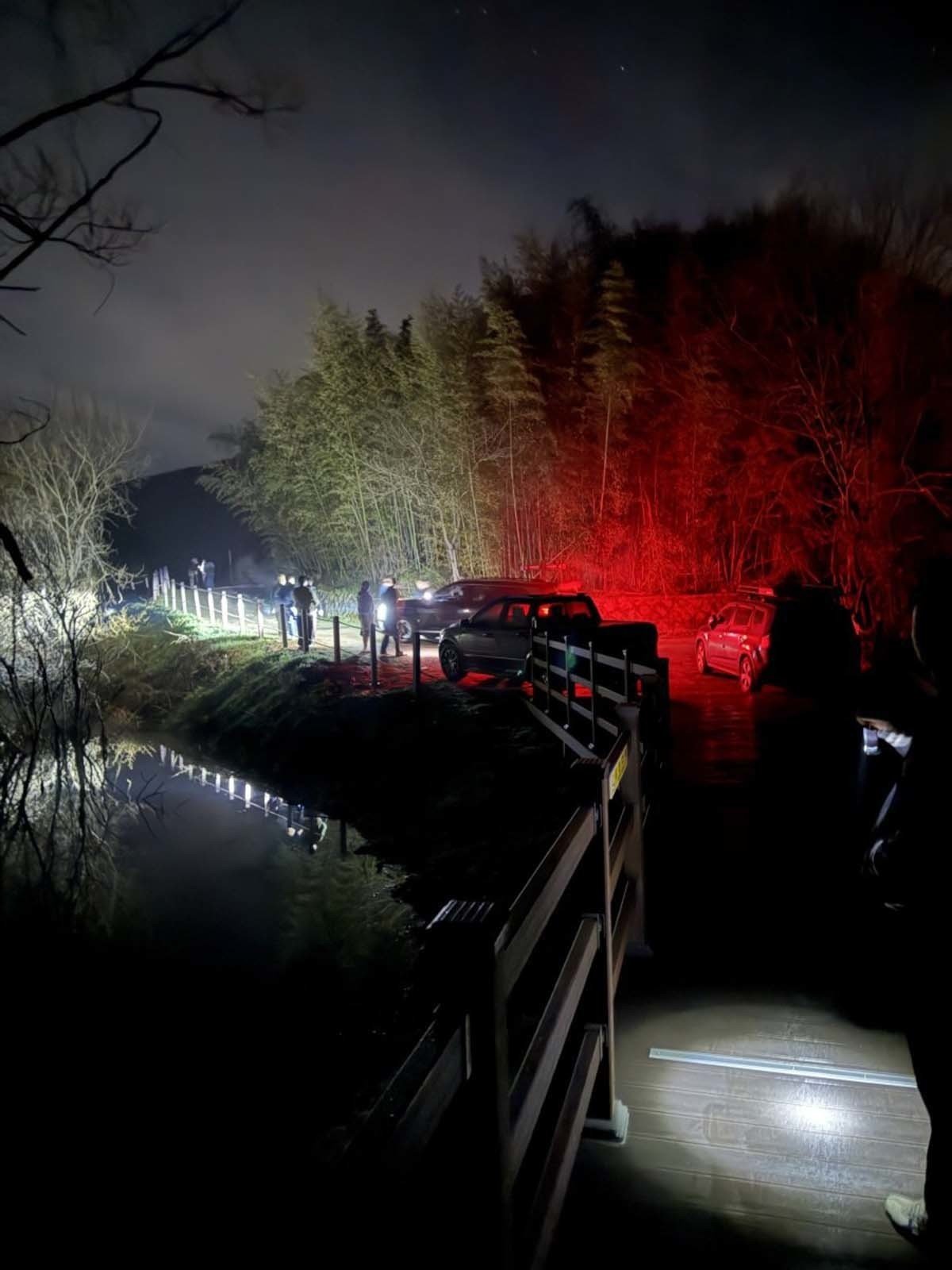 새벽 시간 ‘살목지’ 인근에 몰린 차량 행렬 모습. 사진｜온라인 커뮤니티 캡처