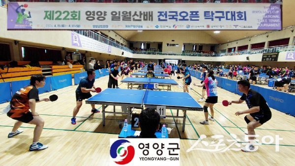 ‘제22회 일월산 전국 오픈 탁구대회’ 경기가 영양군민회관에서 진행되고 있다.  사진제공 ㅣ 영양군
