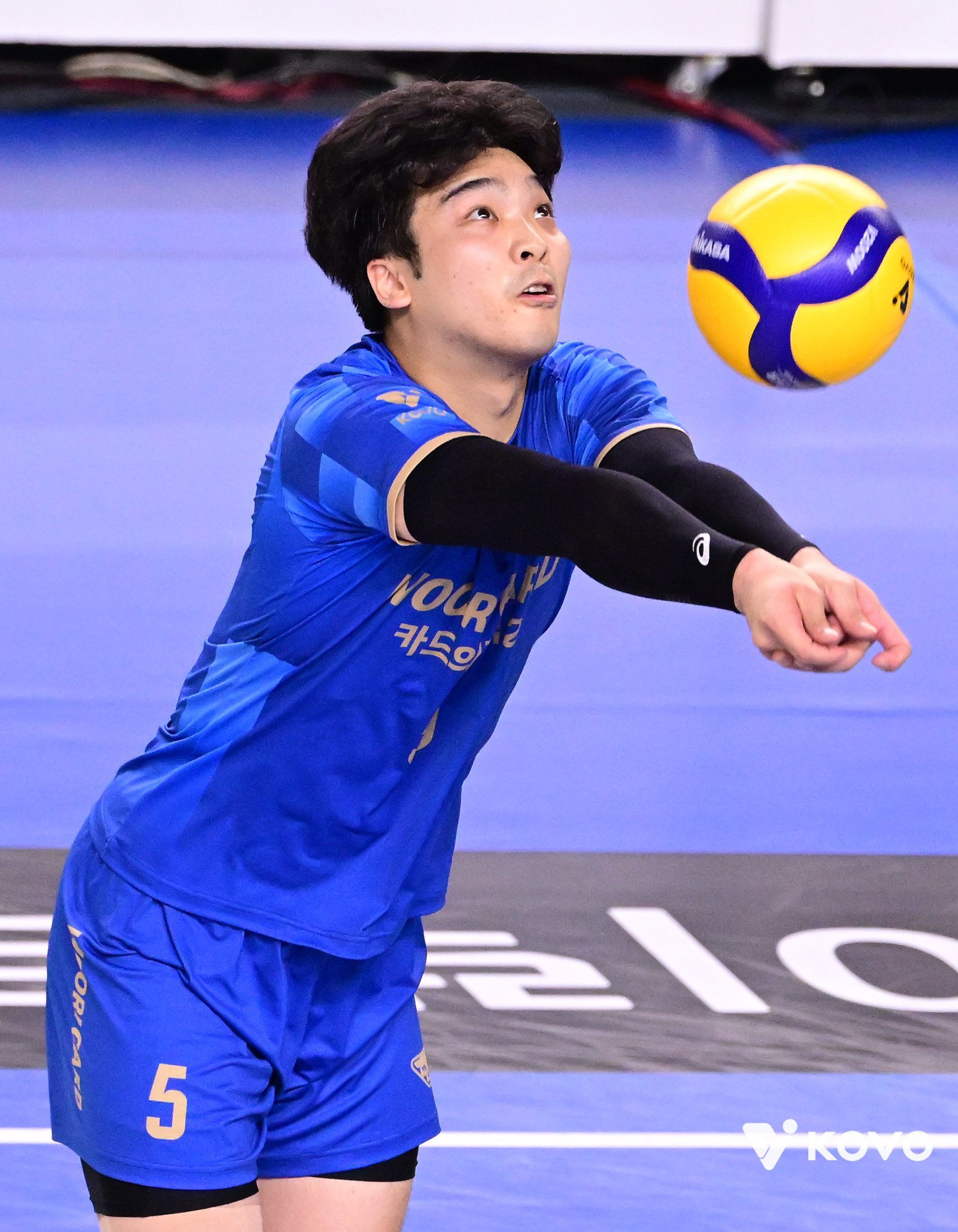V리그 남자부 FA 리베로들의 연쇄 이동 일어나나? B, C그룹 알짜 자원 많다!