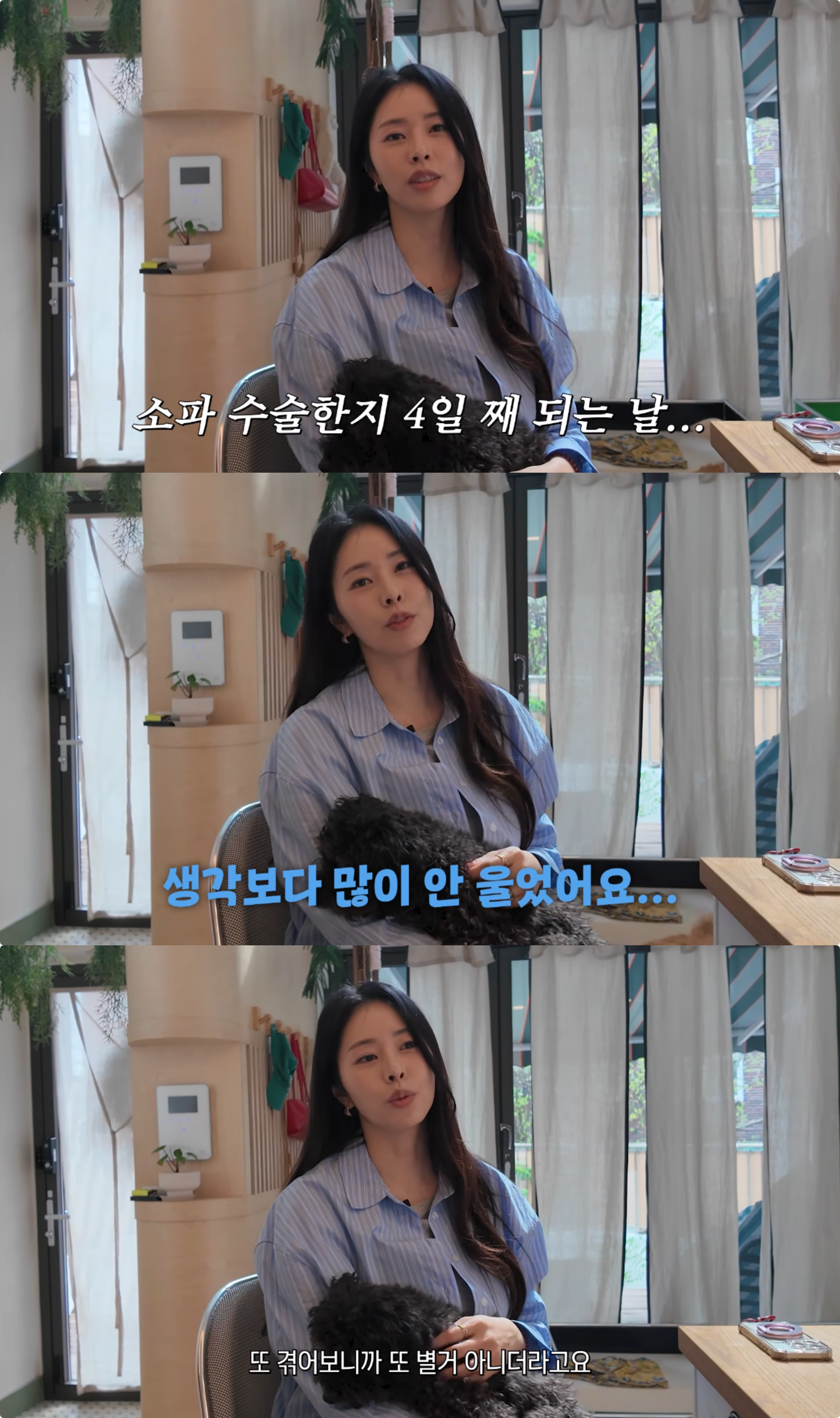 유튜브 채널 ‘서동주의 ‘또.도.동’’ 캡처